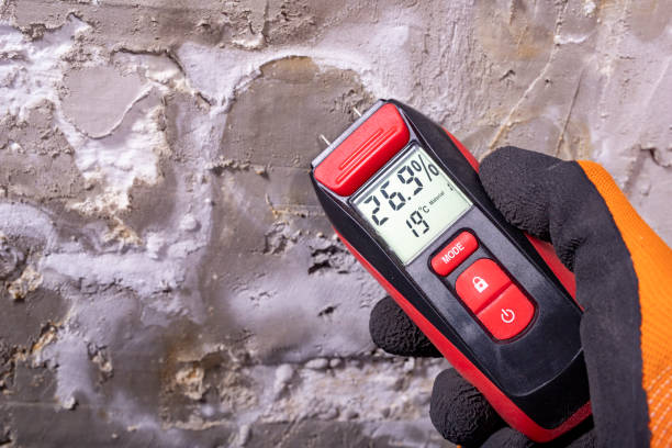 Best Office Mold Removal Services  in Shorewood Tower Hills Harbert, MI