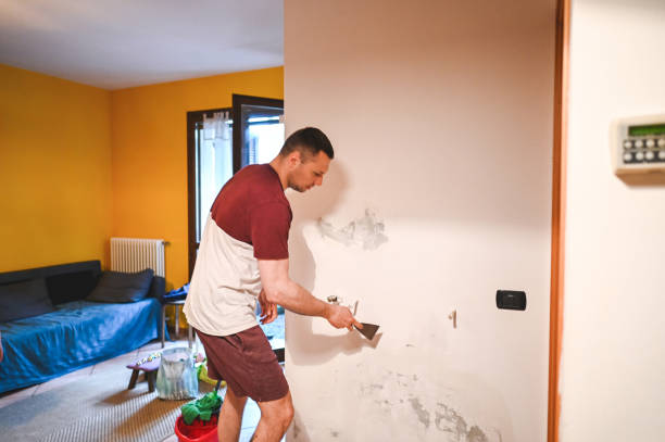 Best Fast Mold Removal  in Shorewood Tower Hills Harbert, MI